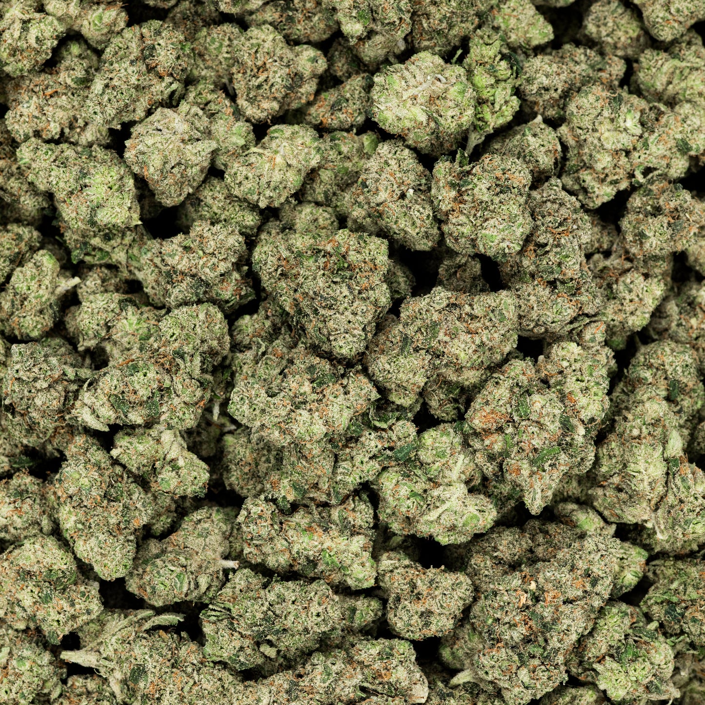 Revelry Citrus Smoothie THCA Flower 3.5G