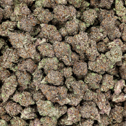 Revelry Devil's Gelato THCA Pre Rolls 14 Pack