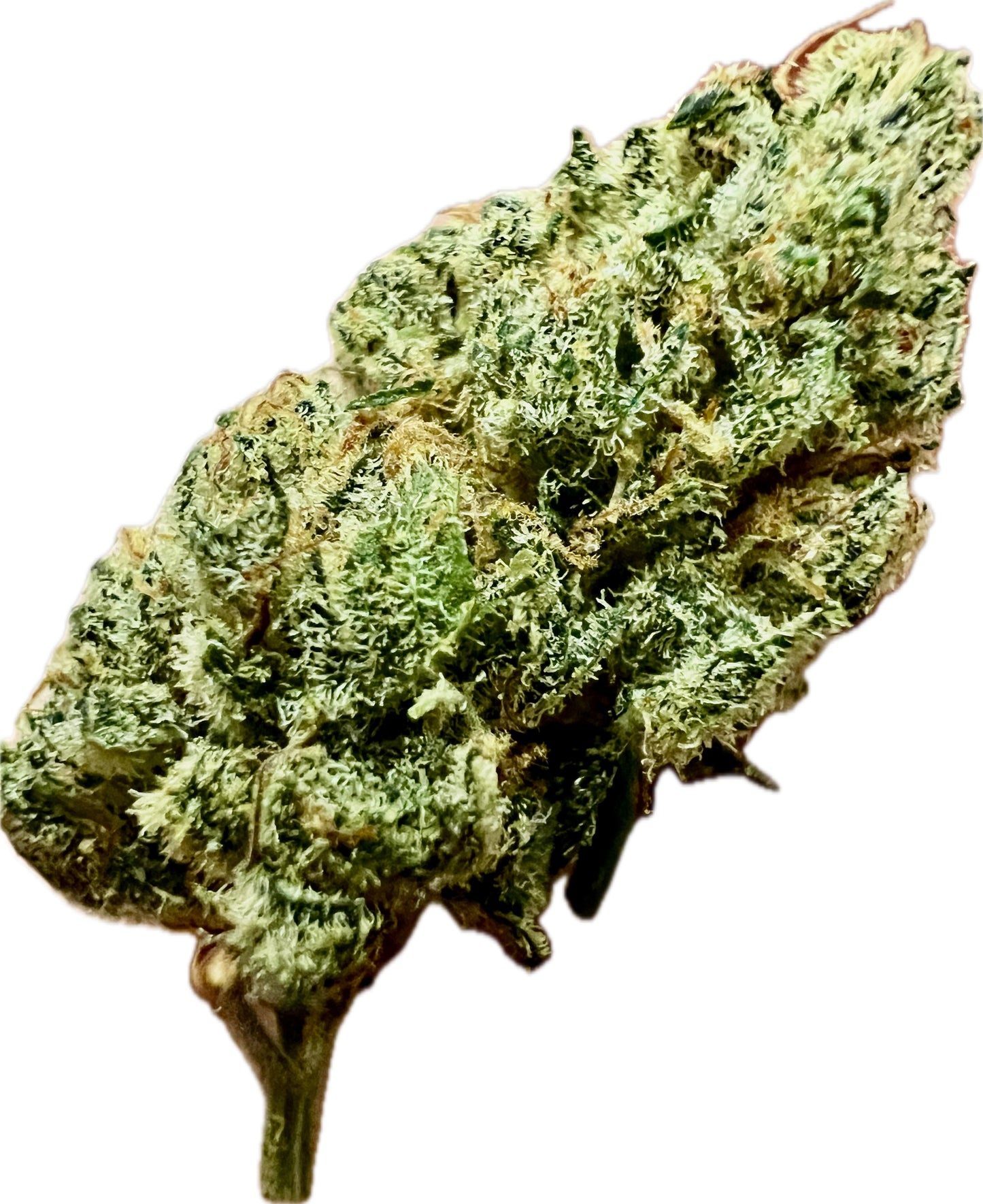 Ripkitty Indoor Big Apple Jack CBD Hemp Flowers