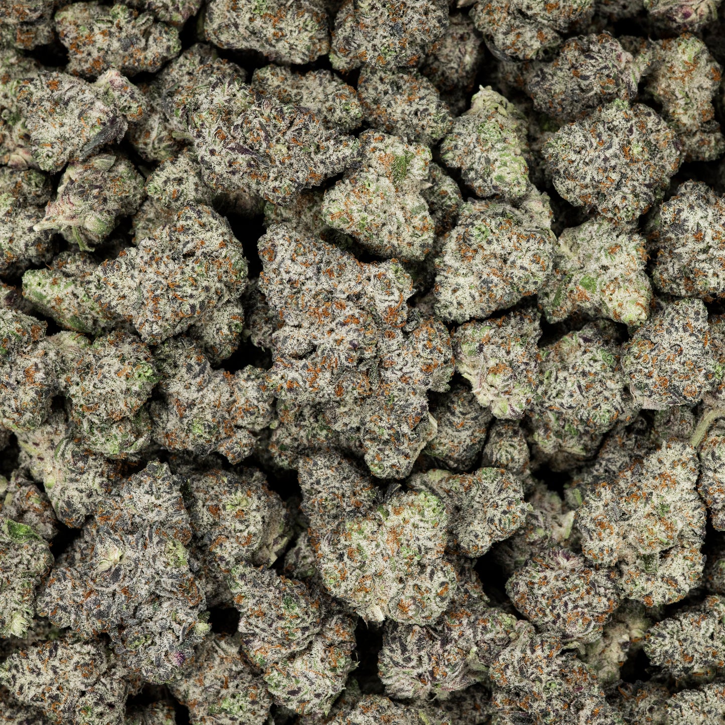 Revelry White Truffle THCA Flower 3.5G