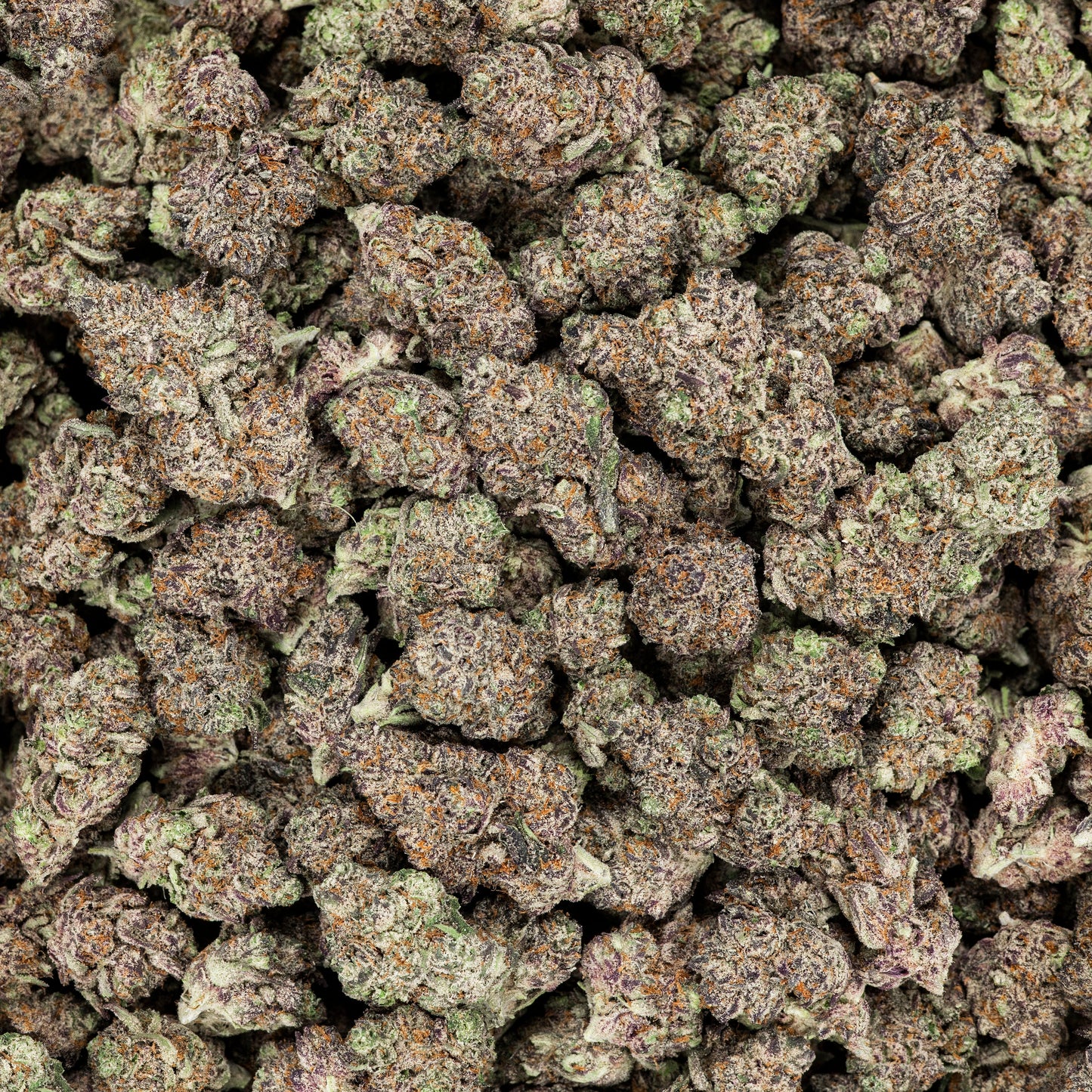 Revelry Devil's Gelato THCA Pre Rolls 2 Pack