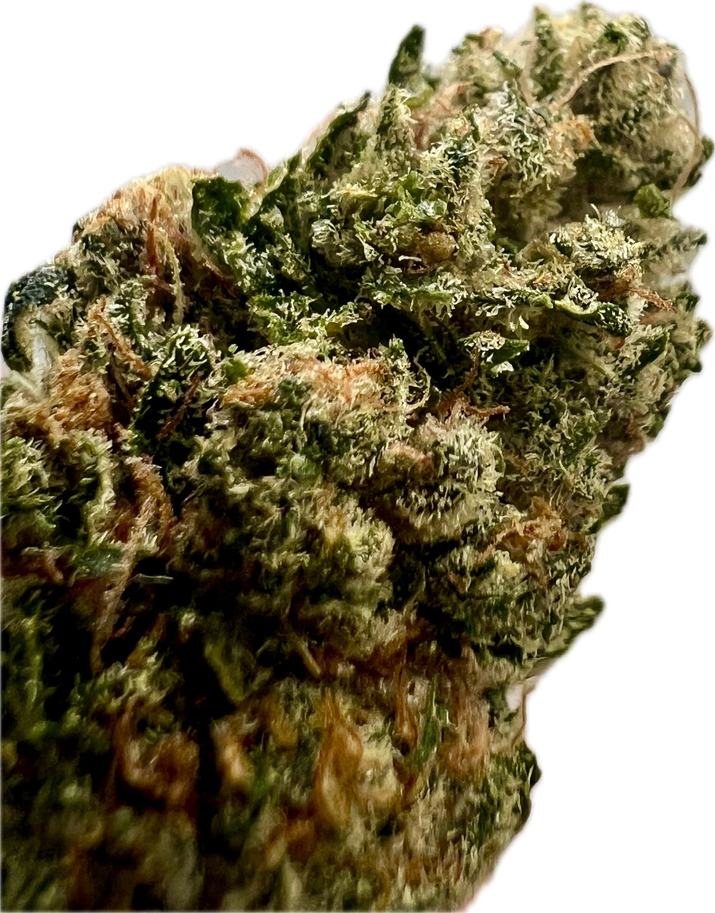 Ripkitty Indoor Big Apple Jack CBD Hemp Flowers