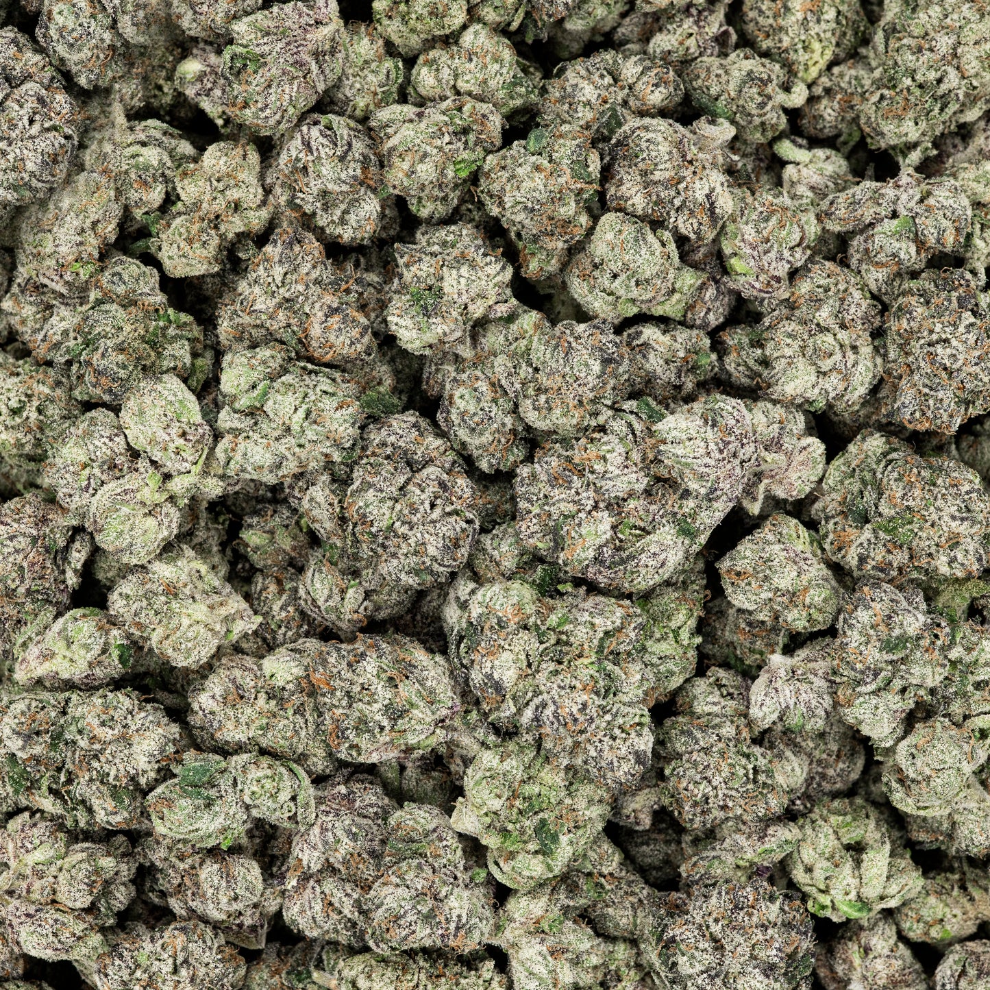 Revelry Frosted Runtz THCA Flower 3.5G